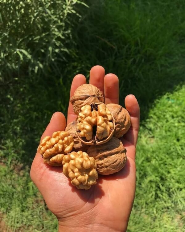 Noix naturelles🤎 – Image 2