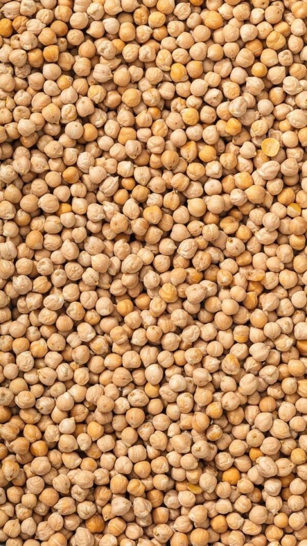 Pois Chiche Turc Grillées🧆 – Image 2