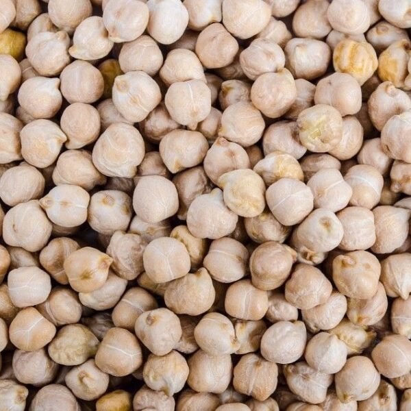 Pois Chiche Grillées🧆 – Image 2